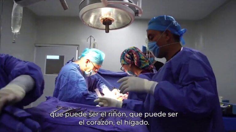 Consejos para el cuidado en el traslado de tejidos