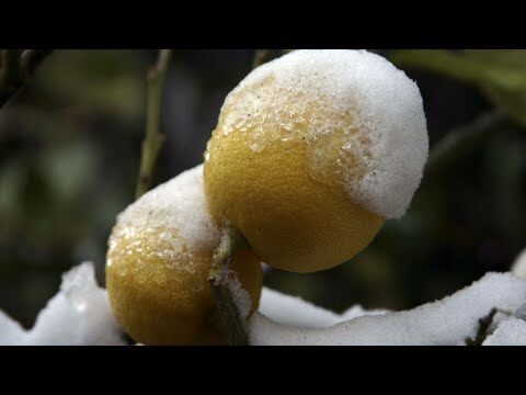 Protecci&oacute;n ambiental con tela fardo: una soluci&oacute;n sostenible