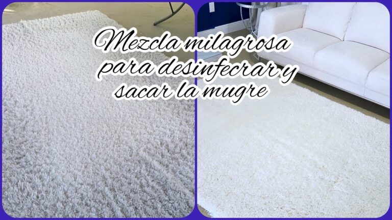 Guía de Mantenimiento de Alfombras de Tela: Consejos Prácticos
