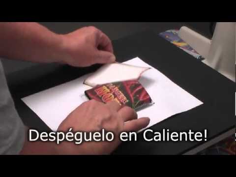 Estampados y colores en neopreno: La tendencia del momento