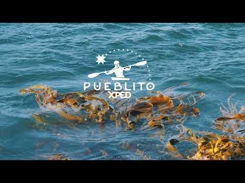 Calidad &oacute;ptima del neopreno de &uacute;ltima generaci&oacute;n