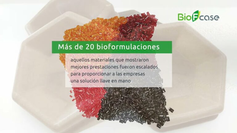 Alternativas Sustentables en Embalajes: Cuidando el Planeta
