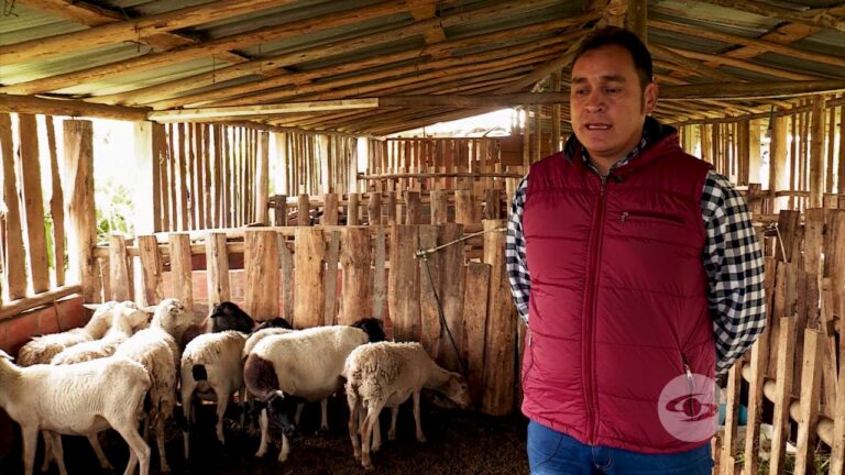 Beneficios de la tela fardo en bodegas