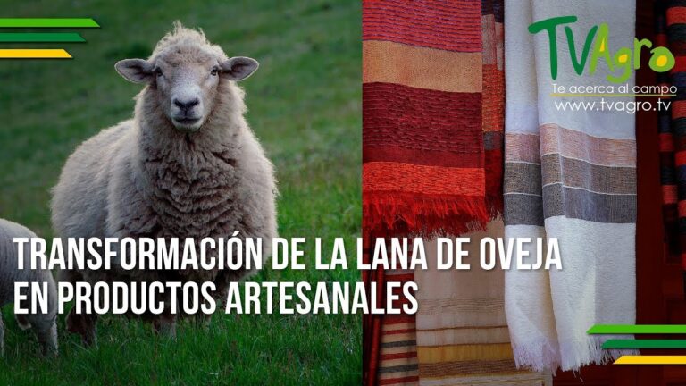 Optimización en el manejo de fardos de tela