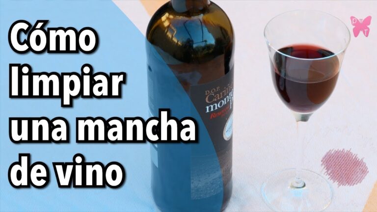 Avances en Tecnología de Neopreno: Vanguardia en Telas