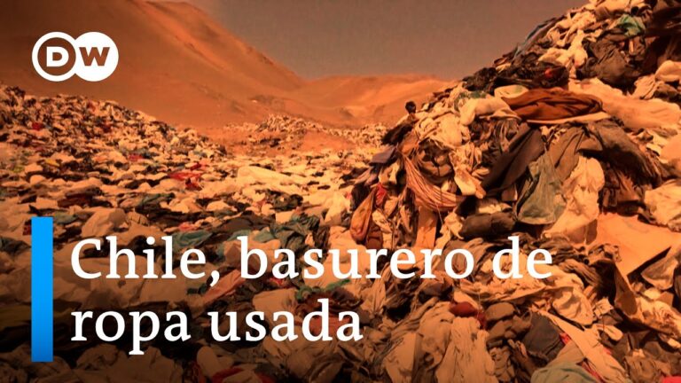 Soluciones logísticas eficientes para el transporte de tela en fardos