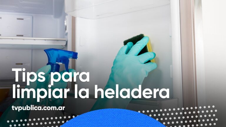 Beneficios duraderos: Propiedades del neopreno de larga duración