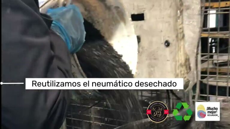Proceso de reciclaje del neopreno: una solución sostenible
