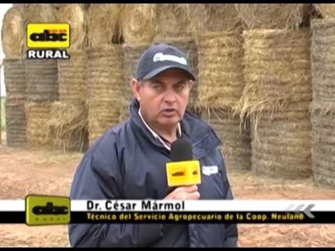 10 Técnicas Efectivas para Manipular Fardos