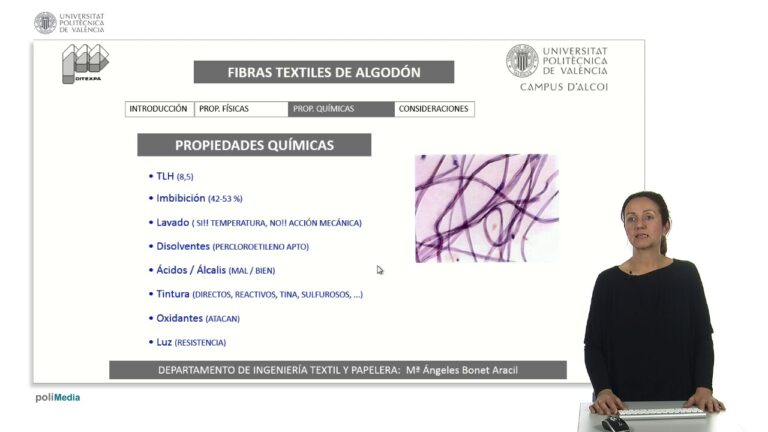 Beneficios del algod&oacute;n: Propiedades y Usos