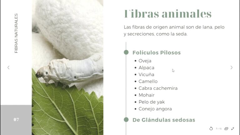Innovaciones en telas de mezcla: Avances textiles revolucionarios